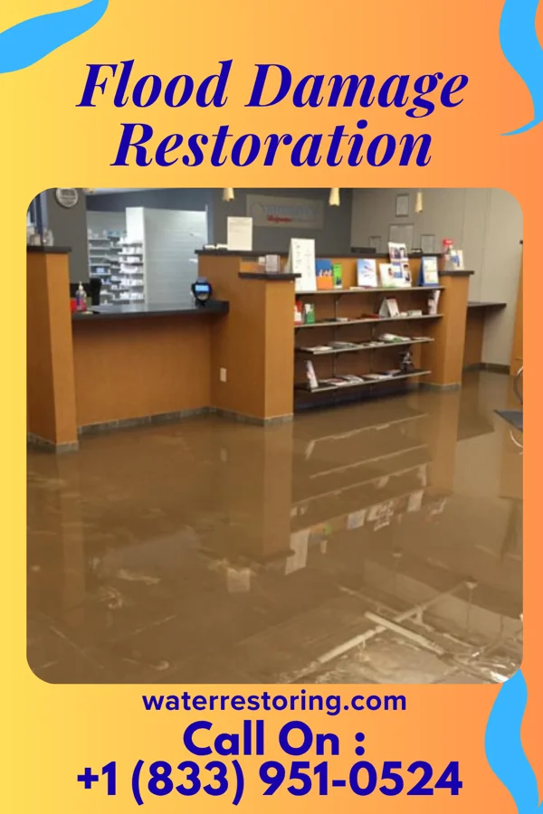 Flood Damage Restoration in Bayview, TX